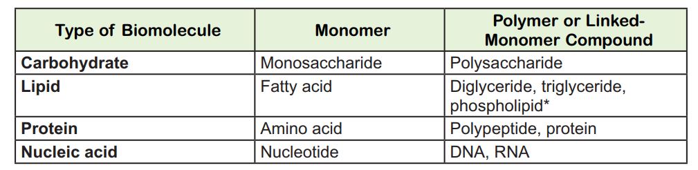 Macromolecule Monomer Polymer Chart